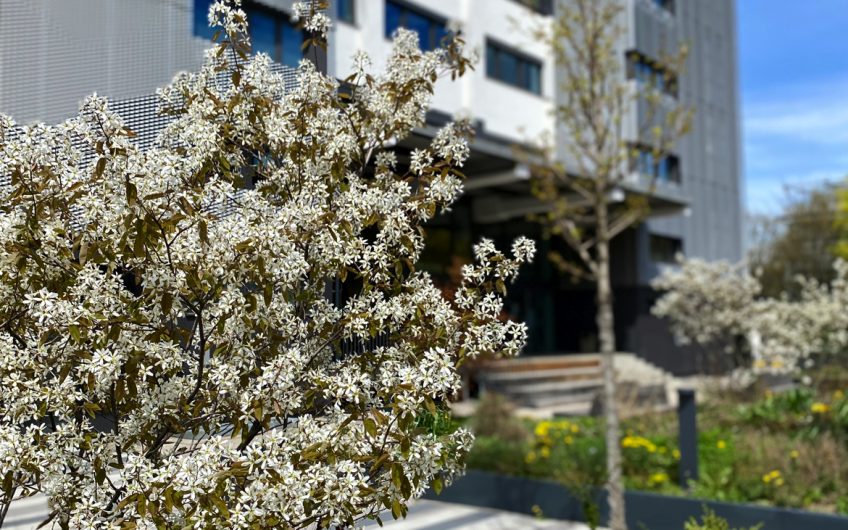 Sag´s durch die Blume: Obersendling ist schön!